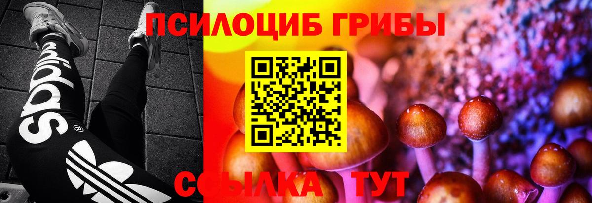 Соликамск  Галлюциногенные грибы Magic Shrooms  Вход с VPN 