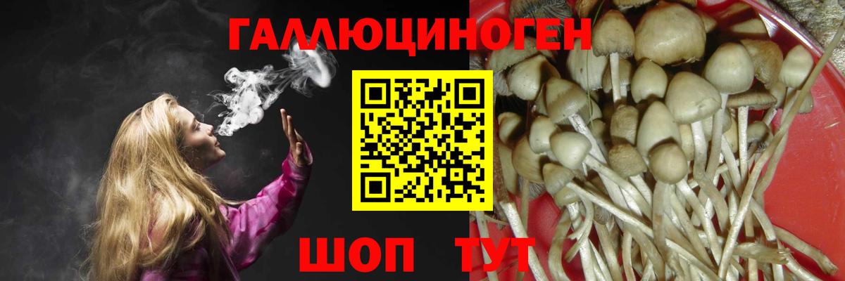 Псилоцибиновые грибы мухоморы Соликамск